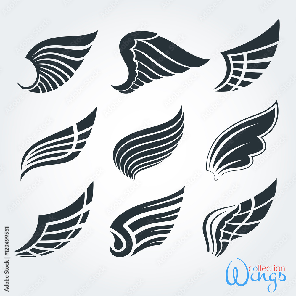 Set vintage wings for design projects. The elements and logo templates, stickers, icons, tattoos. The feathers of birds and abstract code in the form of the wing. Isolated objects.