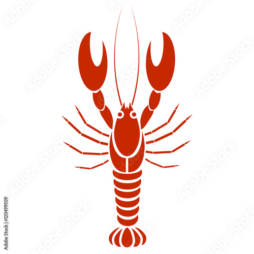 Vector isolated crayfish or lobster. Simple flat design