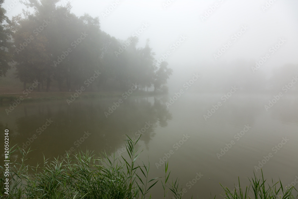 Mist on a lake Mist on a lake