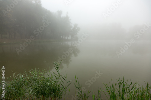 Mist on a lake