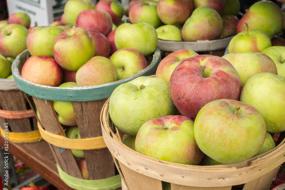 Lobo apples in a basket at the market Lobo apples in a basket at the market