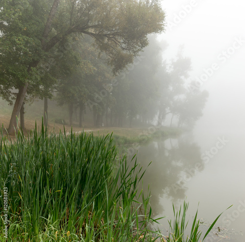 Foggy lake in the morning