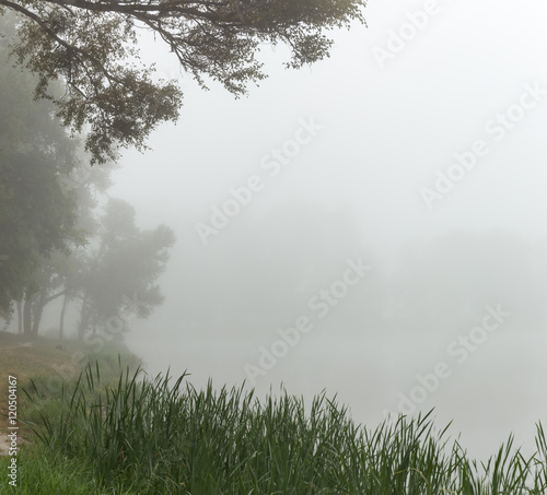 Wallpaper Mural Foggy lake in the morning Torontodigital.ca