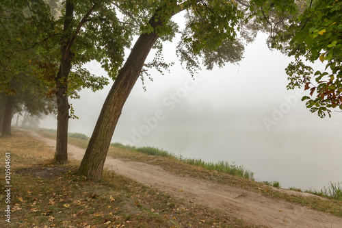 Foggy park near lake