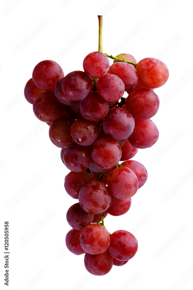 bunches of fresh red grapes with white isolate background