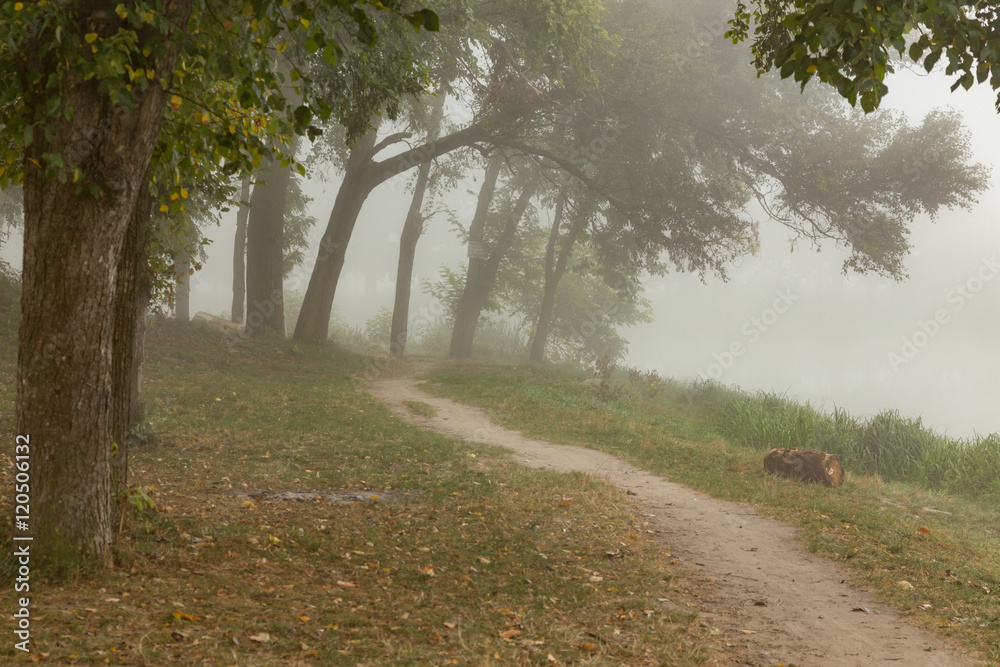 Foggy park near lake Foggy park near lake