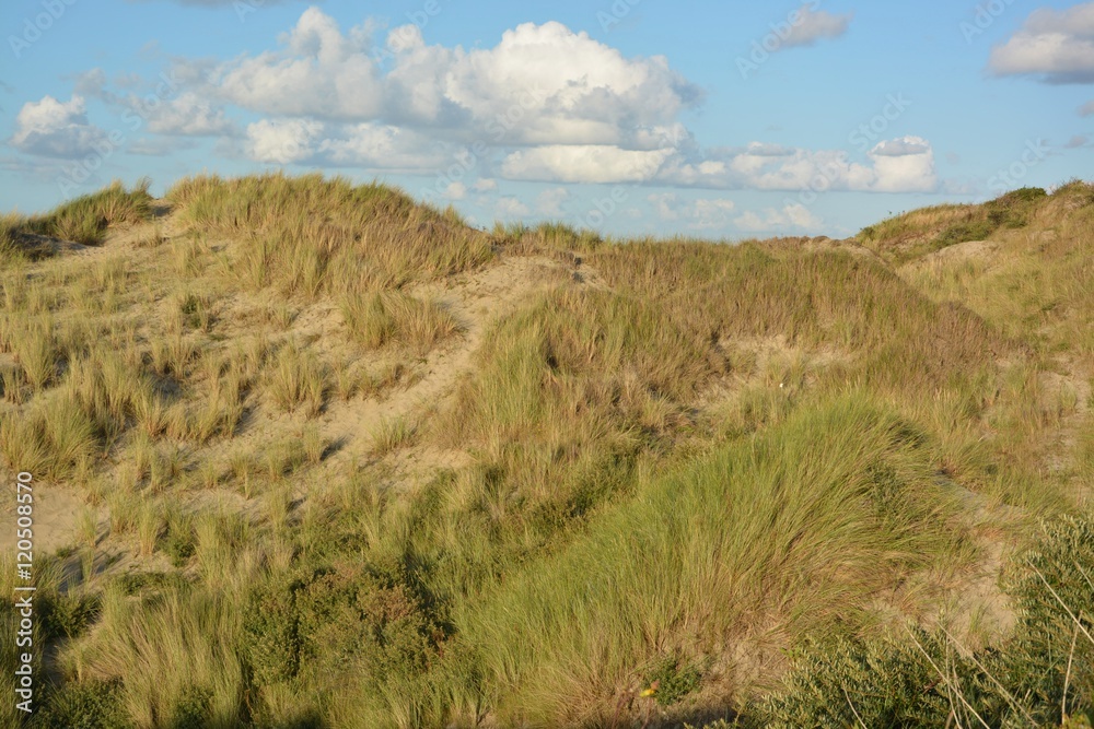 Beautiful sand dunes