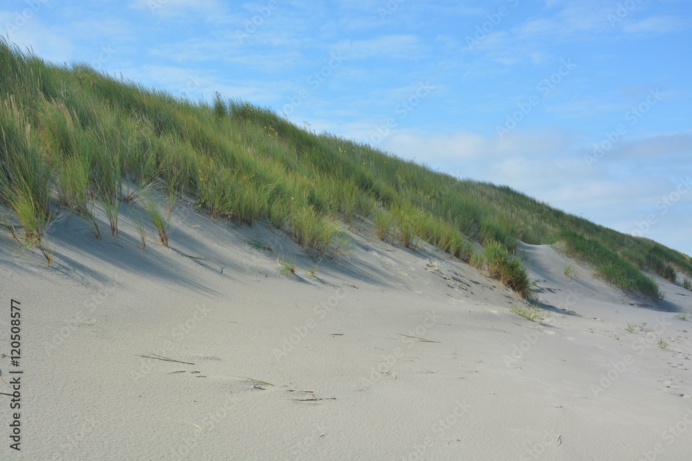 Beautiful sand dunes