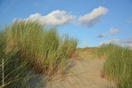 Fototapeta Naklejka Na Ścianę i Meble -  Beautiful sand dunes