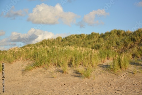 Beautiful sand dunes