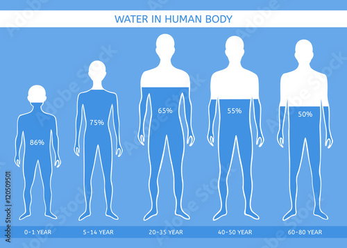 Water in human body. The man at different ages