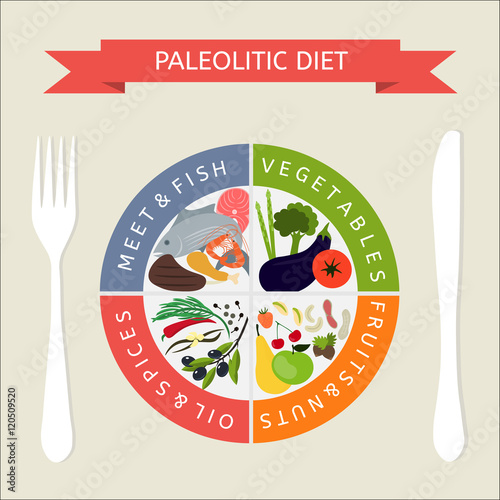 Paleo diet menu infographics. Healthy food and dieting concept.