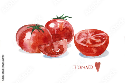 Wallpaper Mural watercolor illustration of tomatoes Torontodigital.ca