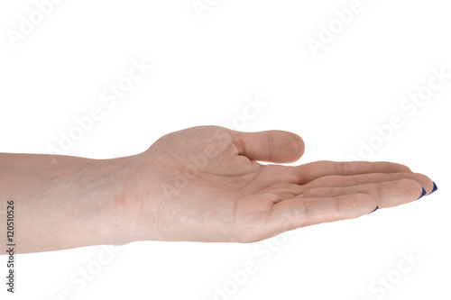 Open hand holding something, beautiful female's skin, blue manicure. Isolated on white background