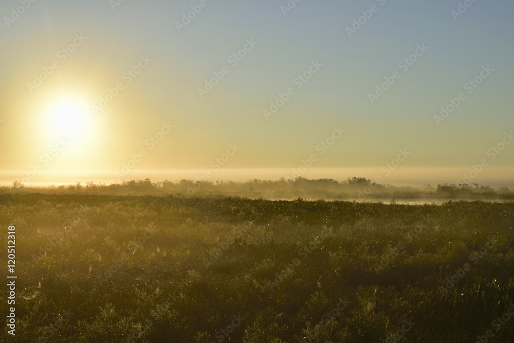 Obraz premium Sunrise over a pond on a foggy morning in Florida.