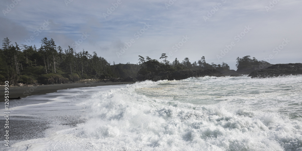Whitecaps on the beach, Pacific Rim National Park Reserve, Tofin