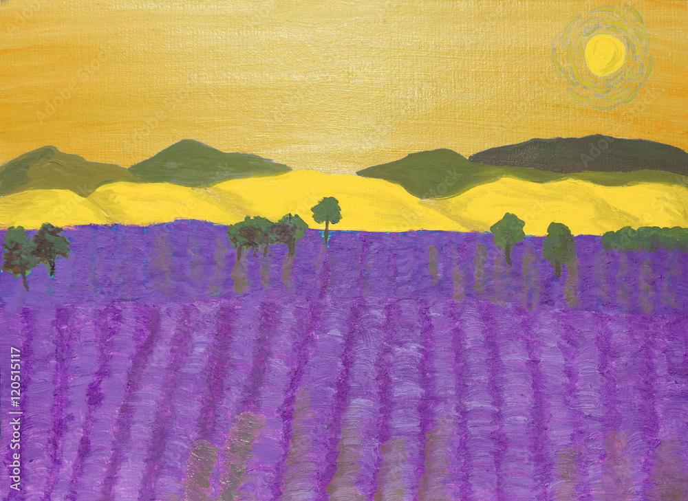 Photography Lavender field