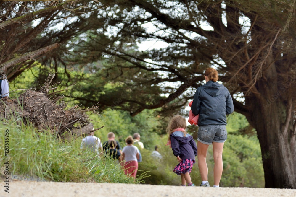 Obraz premium Des randonneurs sur le sentier côtier GR34 à Trégastel en Bretagne