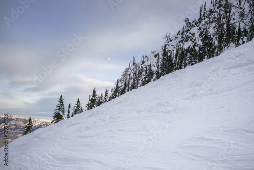 Snow covered trees with mountain in winter, Kicking Horse Mount