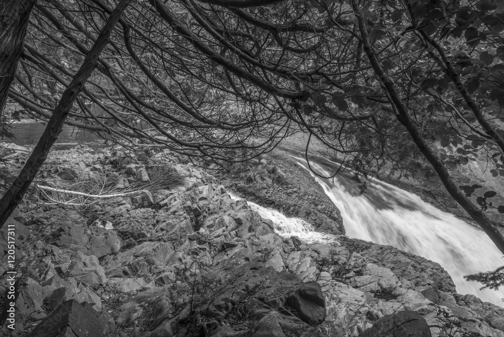 waterfall seen through trees