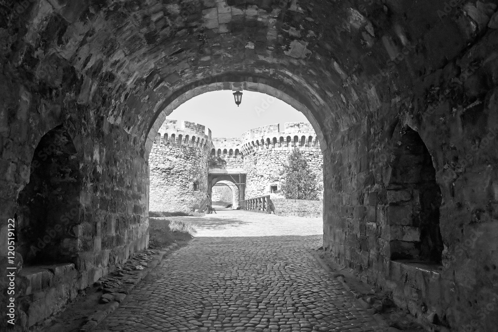 Fototapeta premium Stara twierdza w Serbii