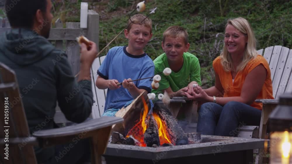 Family roasting marshmallows by outdoor fire