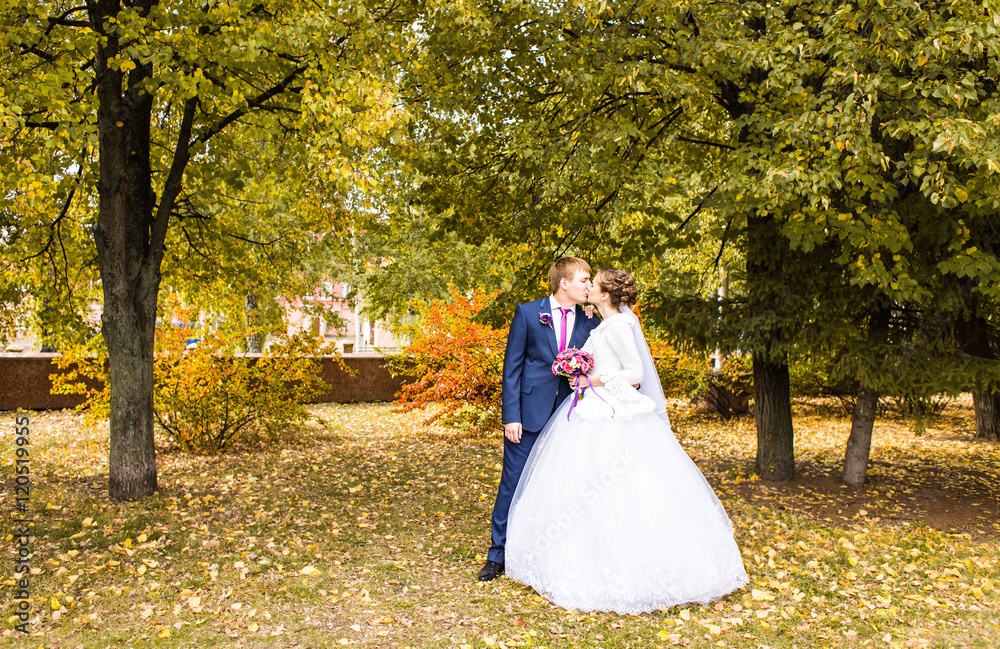 Groom and Bride in autumn park. Groom and Bride in autumn park.