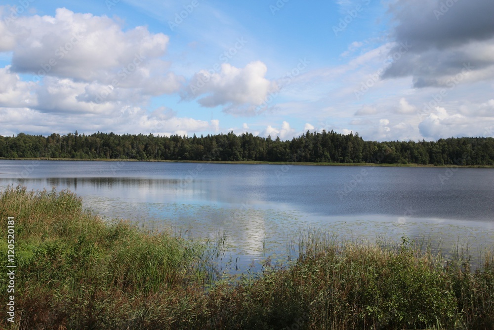 Colorful landscape with lake and forest. Blue sky.  Latvia