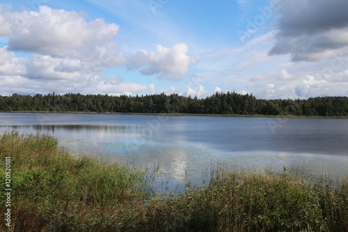 Colorful landscape with lake and forest. Blue sky. Latvia