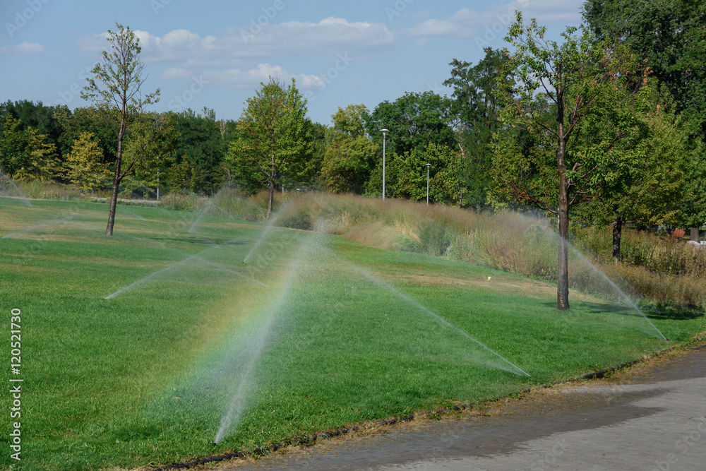green lawn with irrigation system green lawn with irrigation system