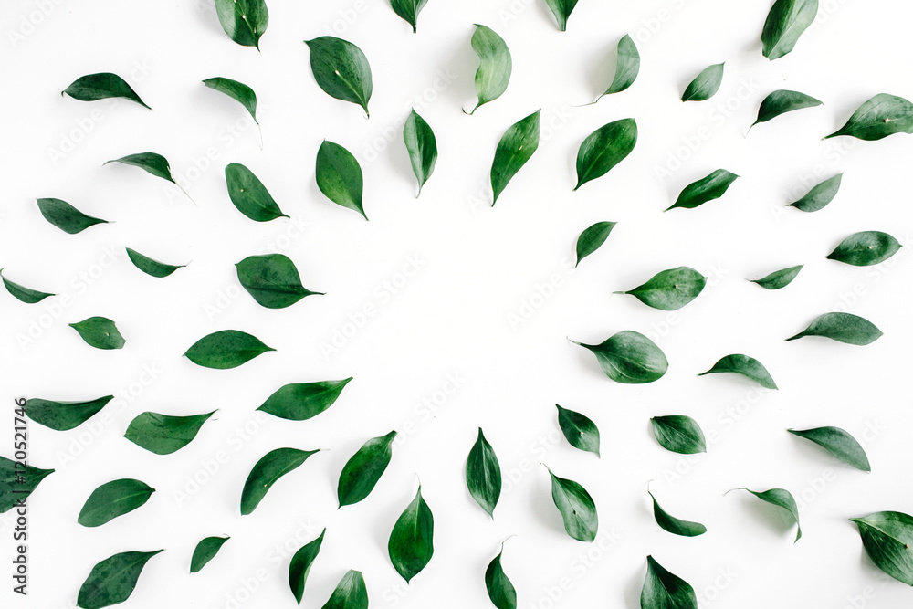 green leaves frame on white background. flat lay. - obrazy, fototapety, plakaty 