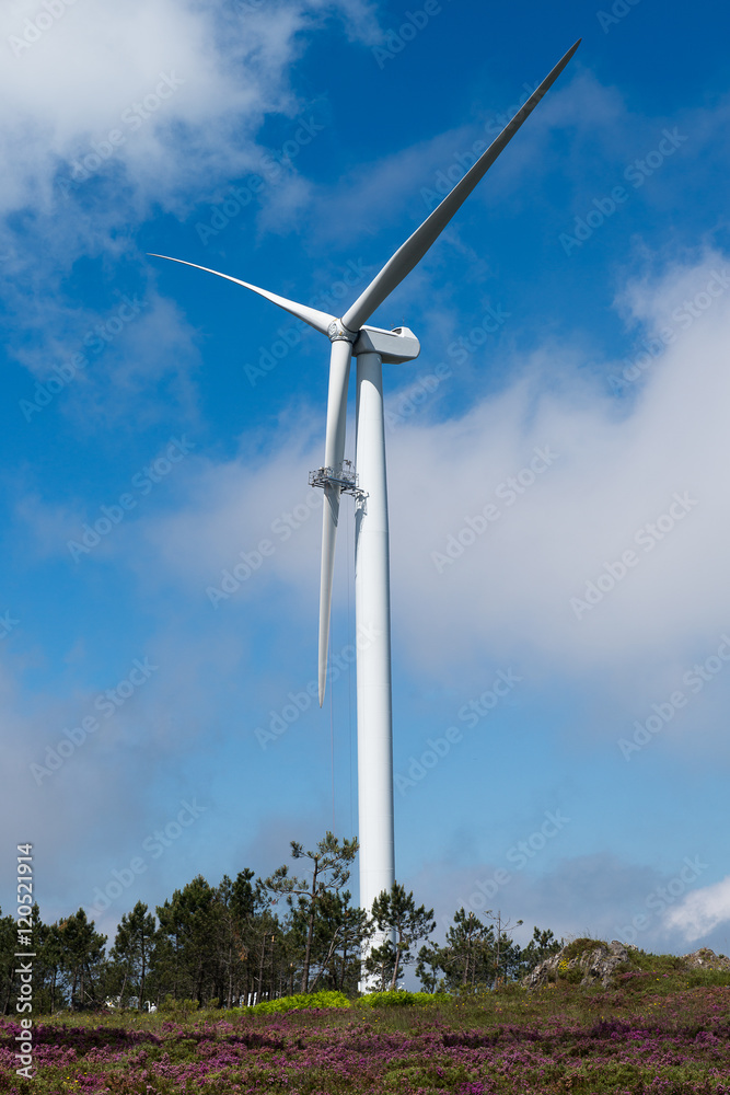Wind power turbine maintenance Wind power turbine maintenance