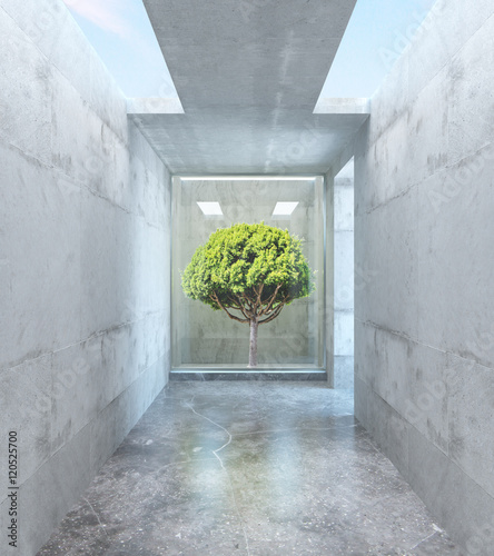 Dekoracja na wymiar  betonowy-pokoj-z-drzewem