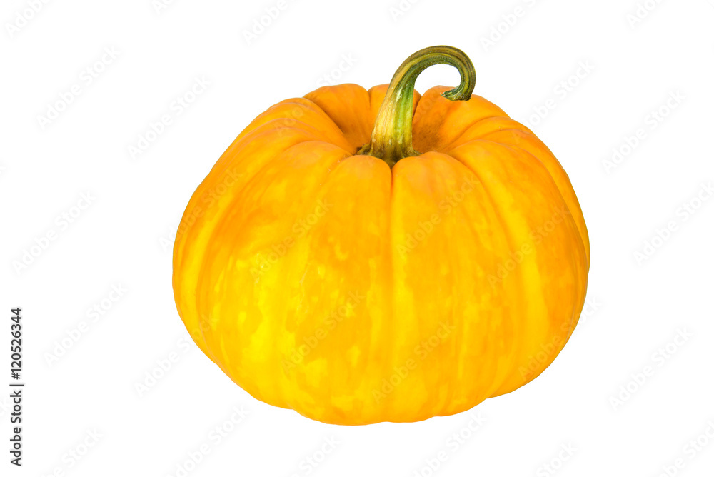Obraz premium Small Pumpkin