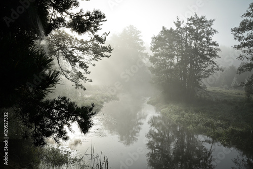 river in the mist  the morning