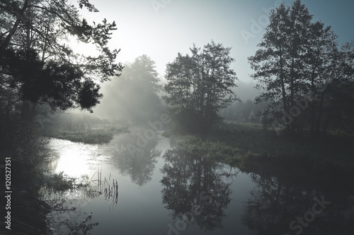 morning time in the river © bisonov