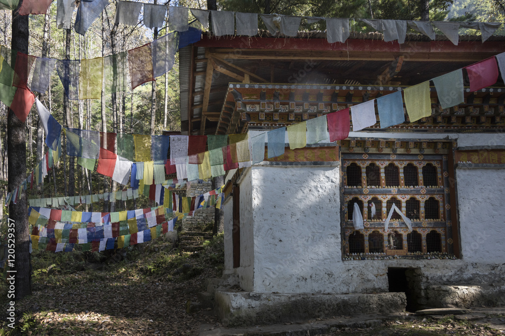 Obraz premium Buddhist monastery surrounded by prayer flags and forest, Paro Valley, Bhutan