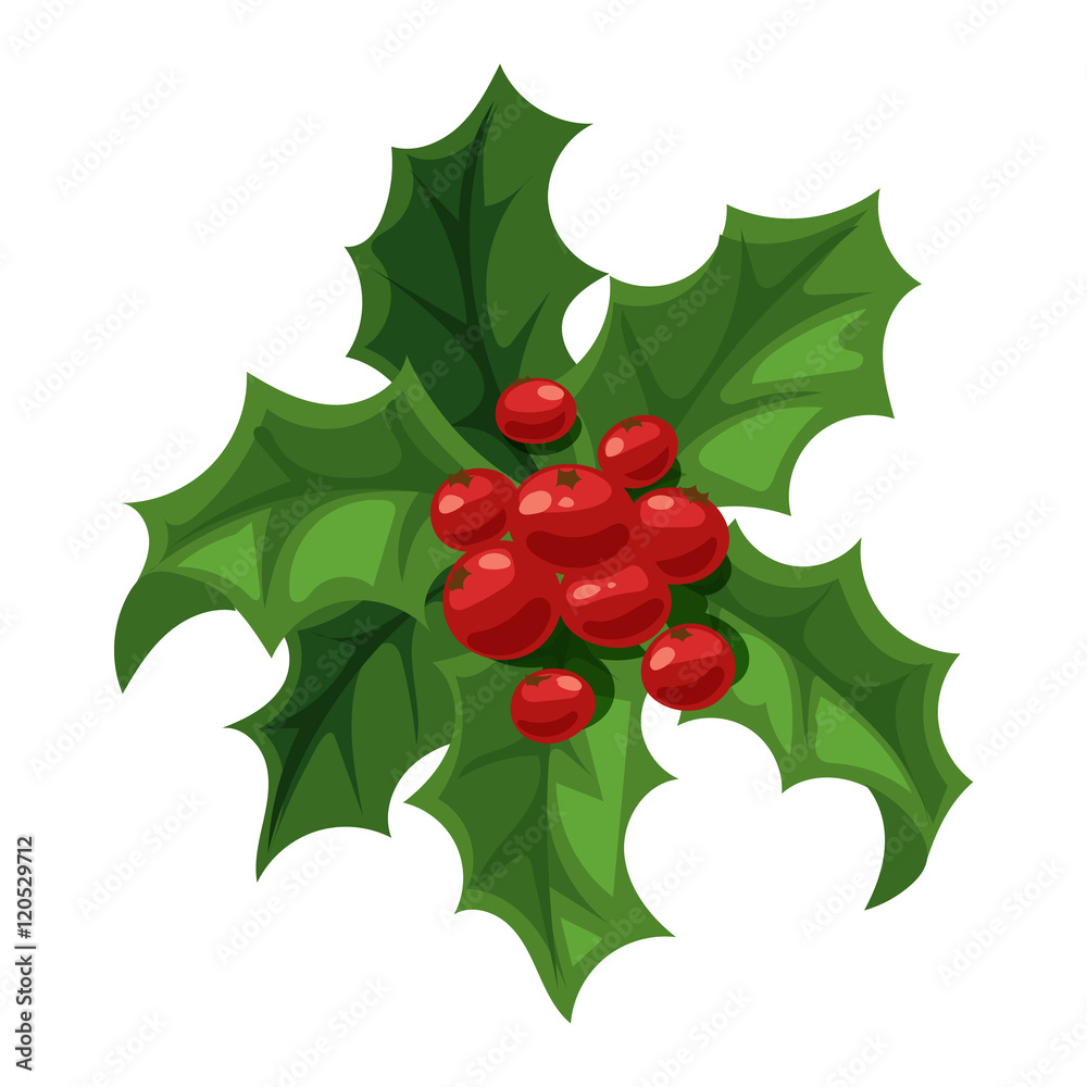Christmas berry decoration vector set. Christmas berry decoration vector set.