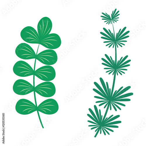 Leaf icon vector illustration.