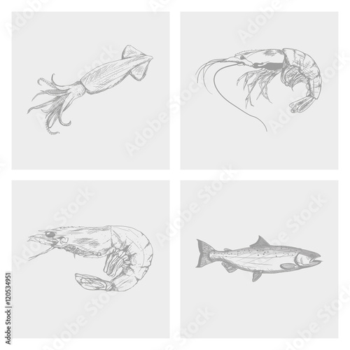 Sea life