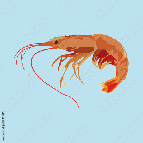 Sea life
