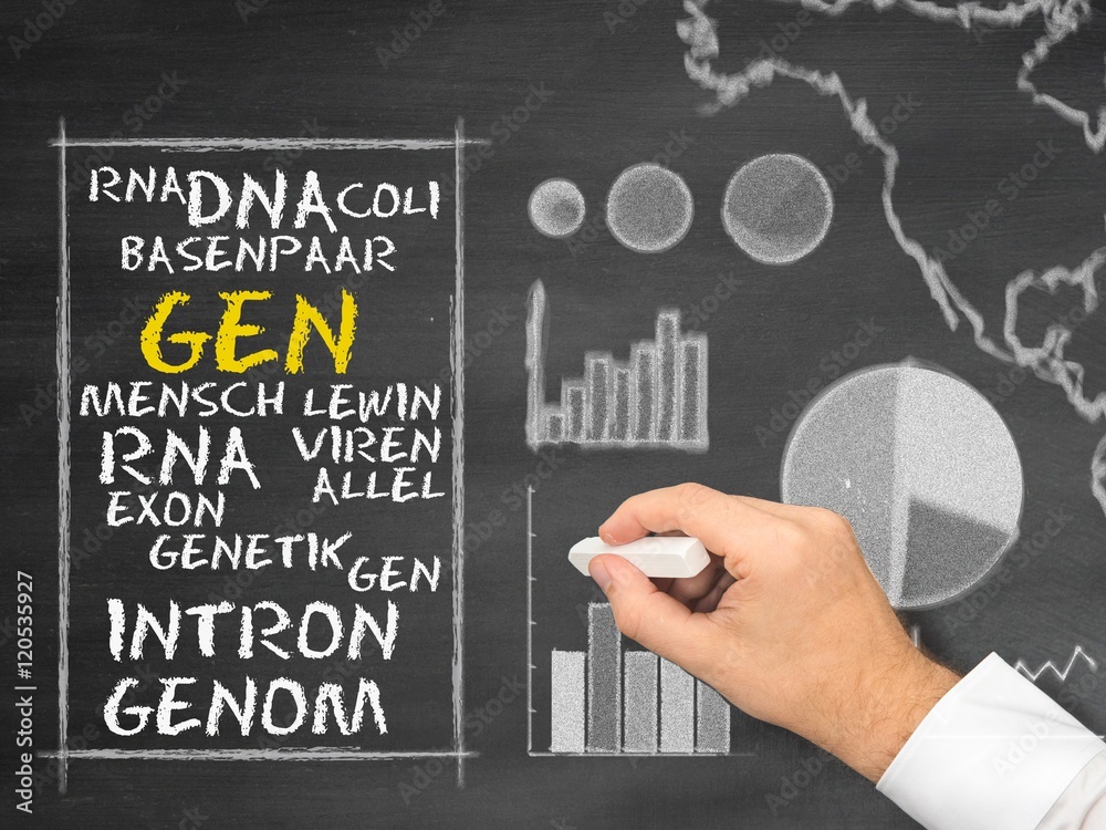 Fototapeta premium Gen