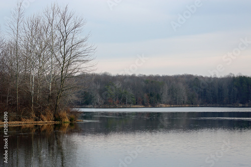 Inland lake in late fall with ripples  and trees on the shorelin