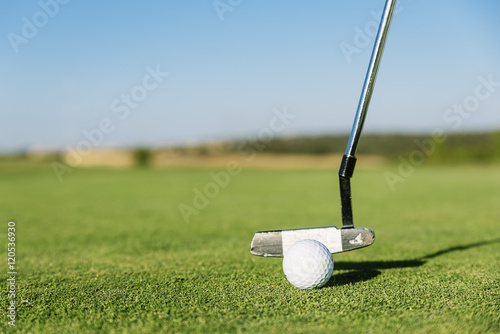 Golf club and ball in grass.