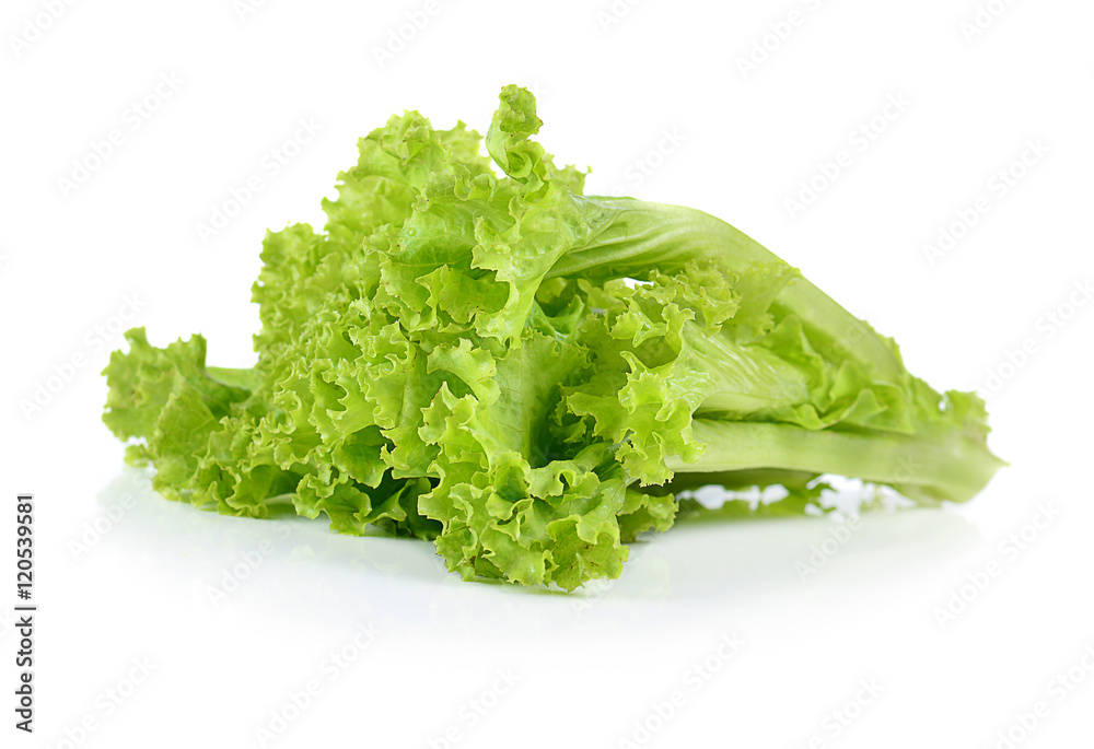 fresh lettuce leaves isolated on white fresh lettuce leaves isolated on white