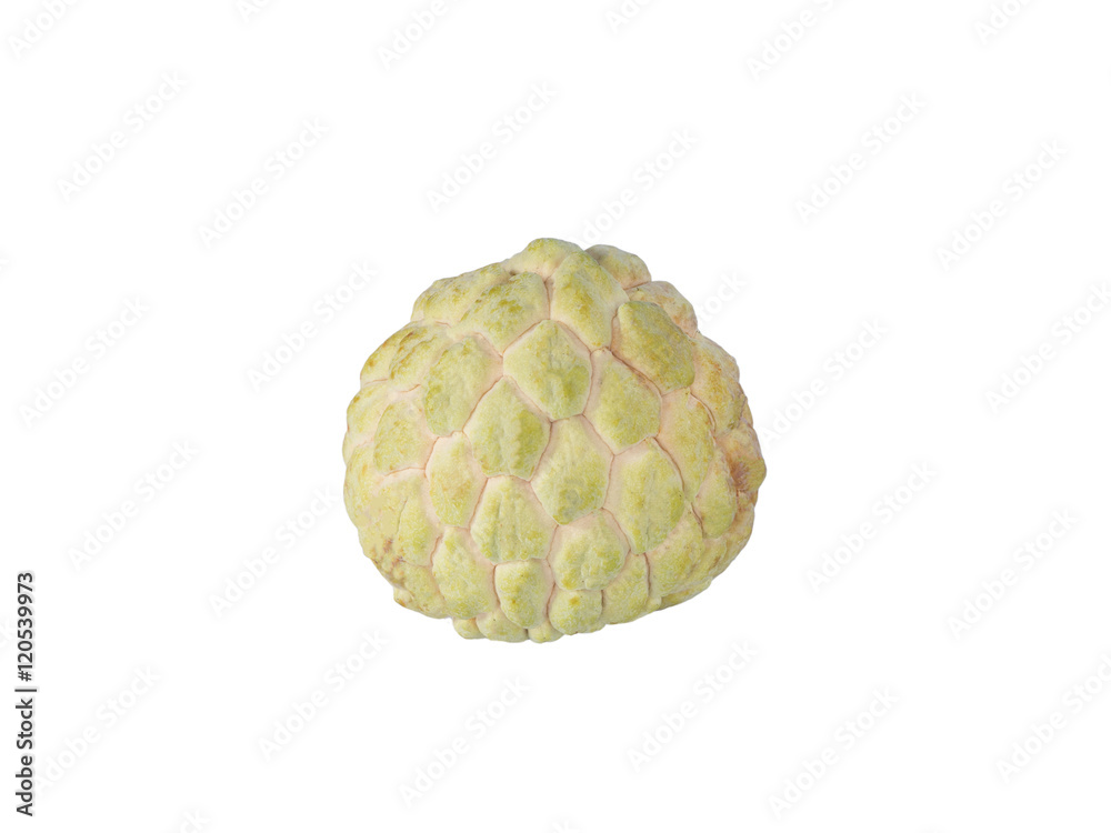 Custards isolated white background. Sweet fruit of Thailand
Custards isolated white background. Sweet fruit of Thailand