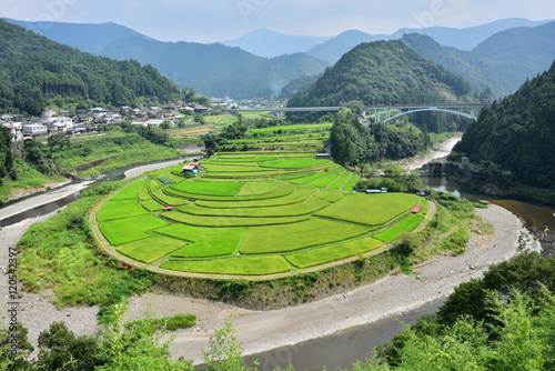 あらぎ島の棚田(夏)