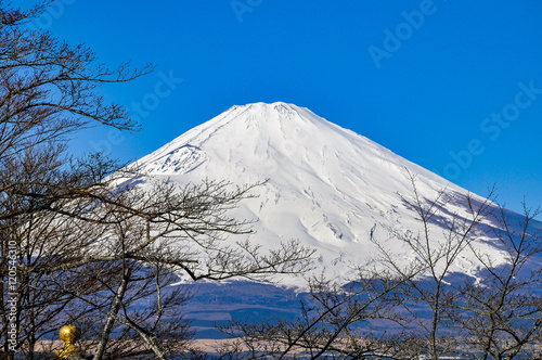 Mt Fuji view