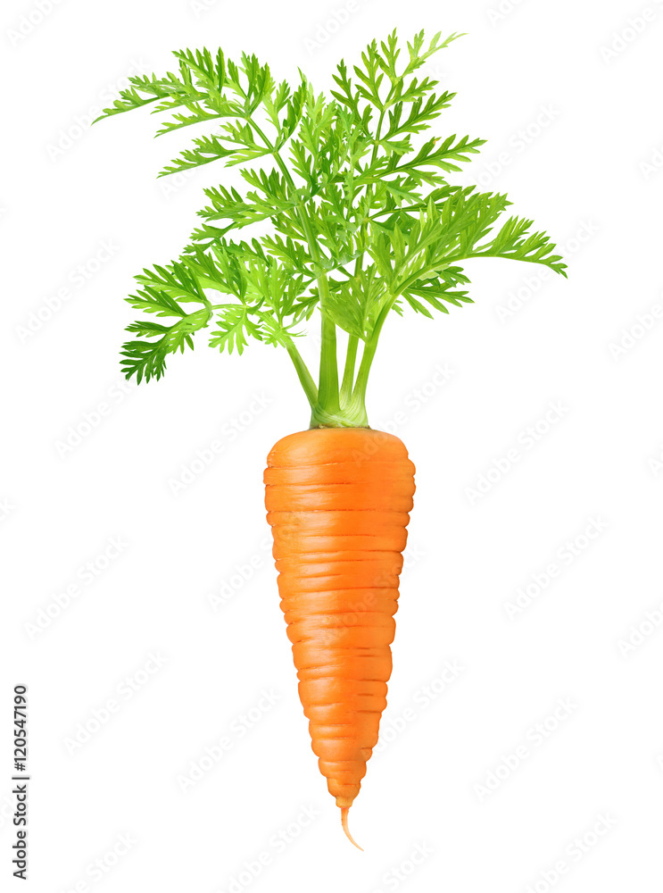 Carrot isolated on white Carrot isolated on white