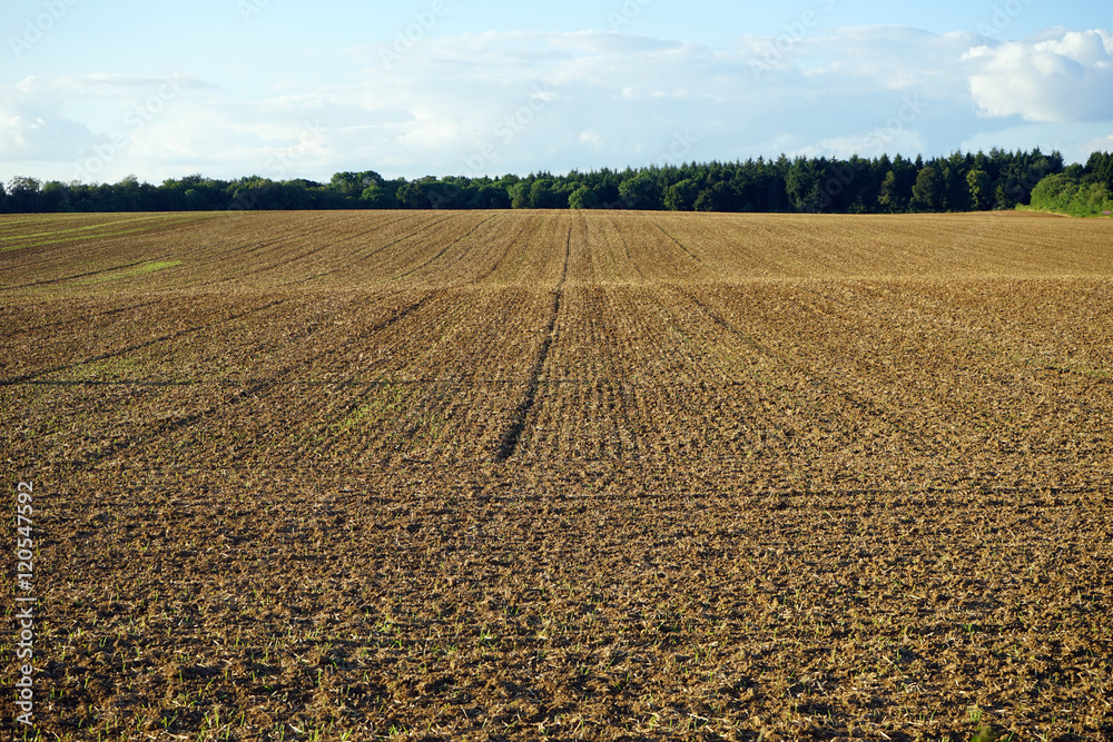 Plowed land in Luxembourg